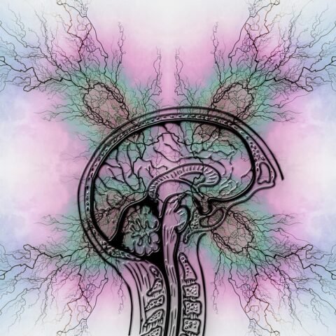 adhd productivity tips - ADHD Goat